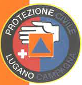 Consiglio consortile